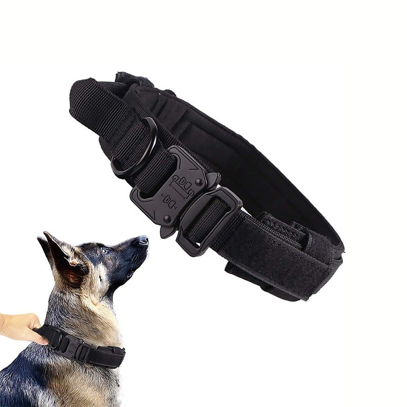 Tactical collar with metal D-ring hardware