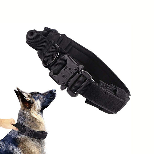 Tactical collar with metal D-ring hardware