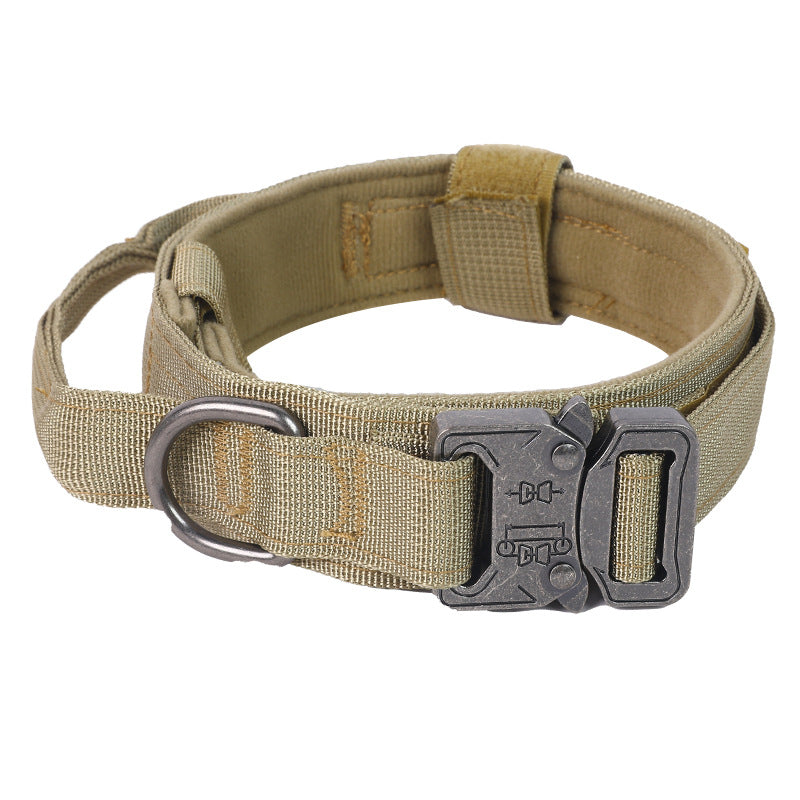 Reinforced D-ring for leash attachment