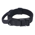 AlphaPaw collar with integrated control handle