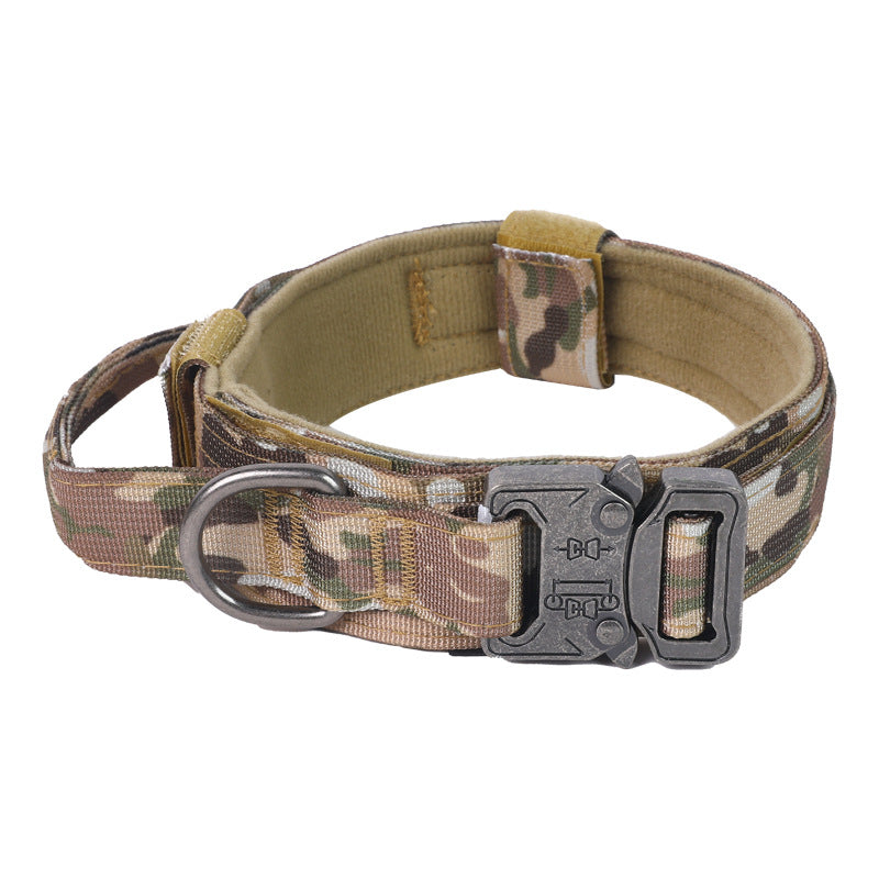 Heavy-duty dog collar for active dogs