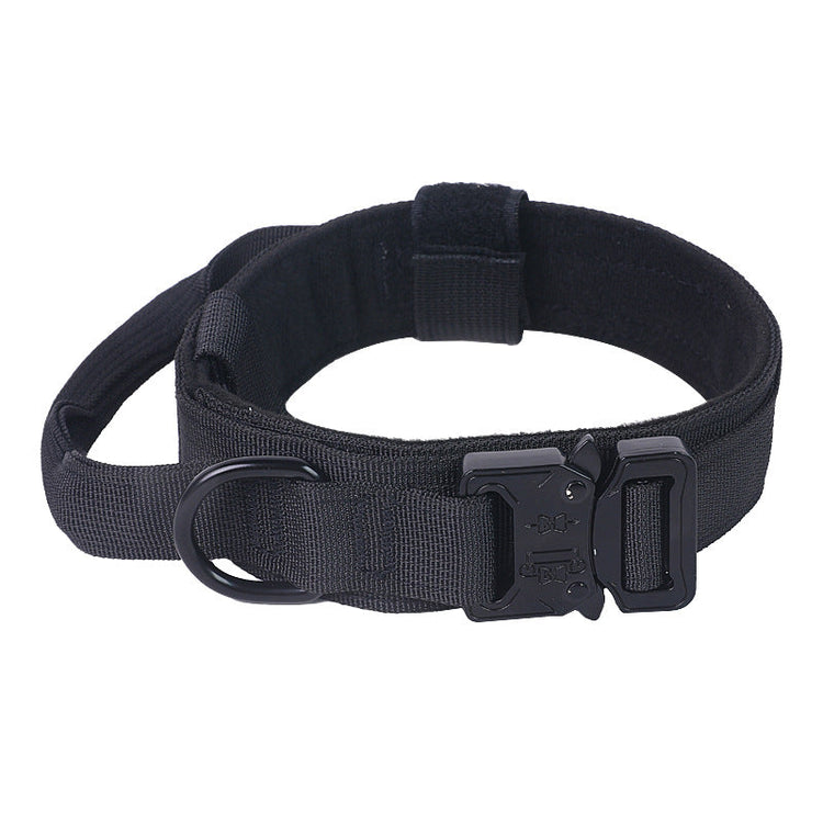 Tactical dog collar in use during walk