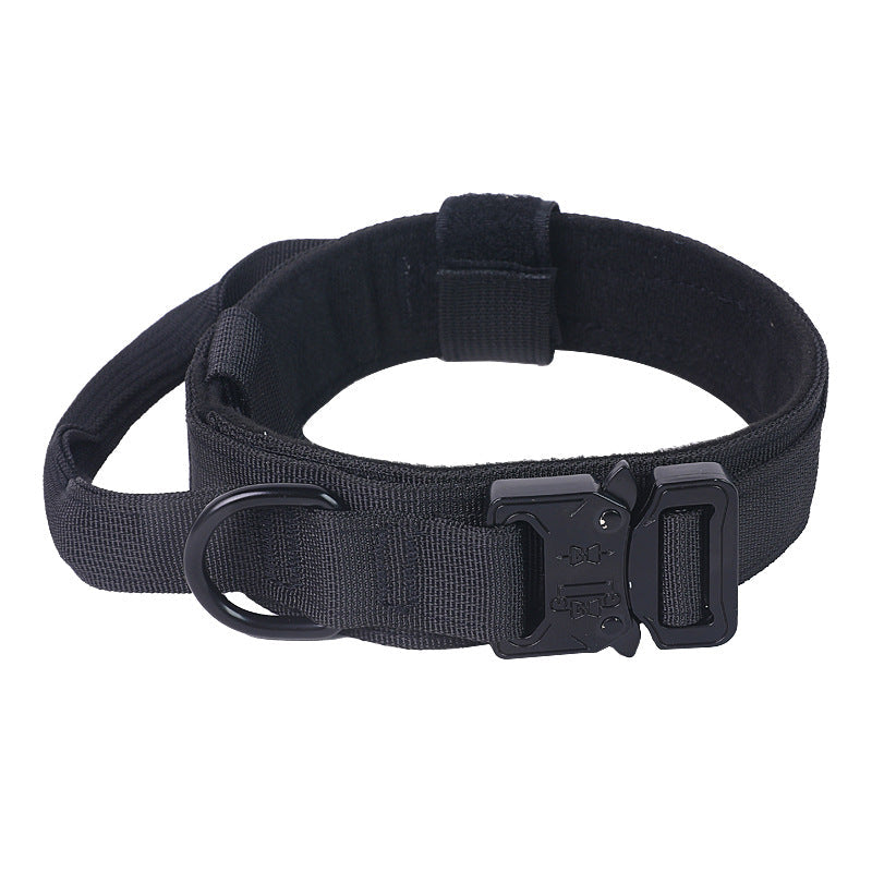 Military-grade collar for training dogs