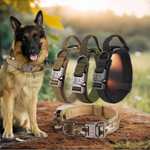 AlphaPaw heavy-duty tactical dog collar in black