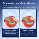 Cat exercise toy with motion sensors