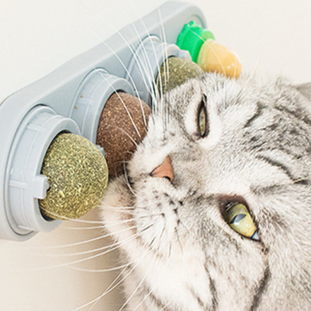 Catnip Ball Cat Teething Toy Tec15
