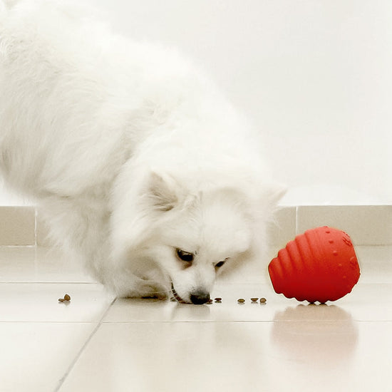 Tough Rubber Squeaky Toy for Dogs Tec15