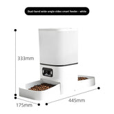 Pet auto-feeder used by golden retriever