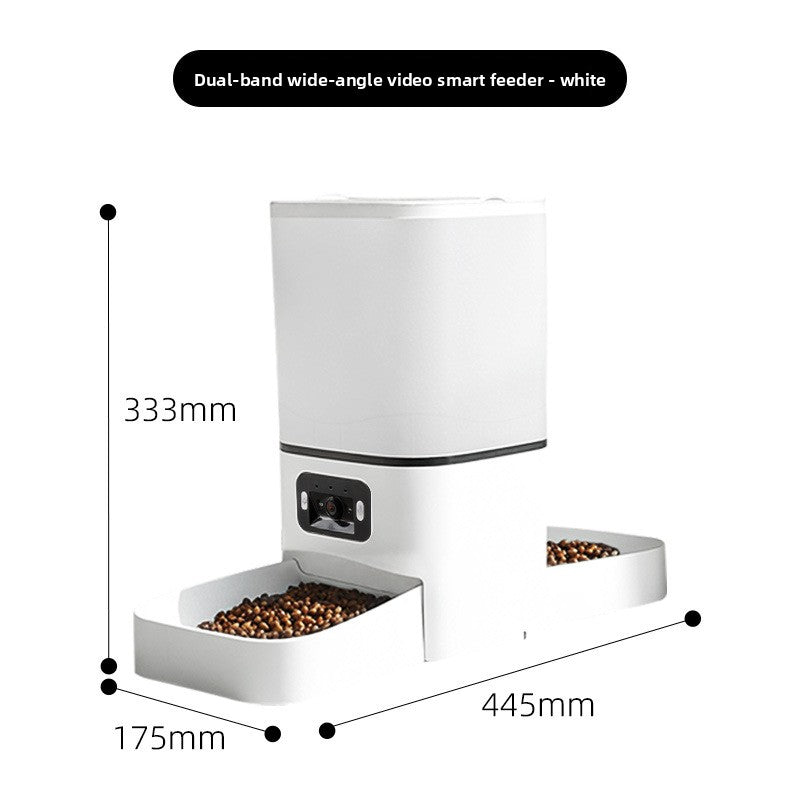 Pet auto-feeder used by golden retriever