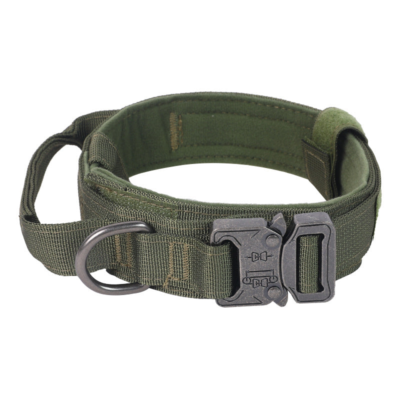 AlphaPaw nylon webbing close-up
