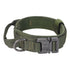 AlphaPaw nylon webbing close-up