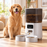 PetWatch smart auto-feeder with HD camera beside a golden retriever in a sunny living room